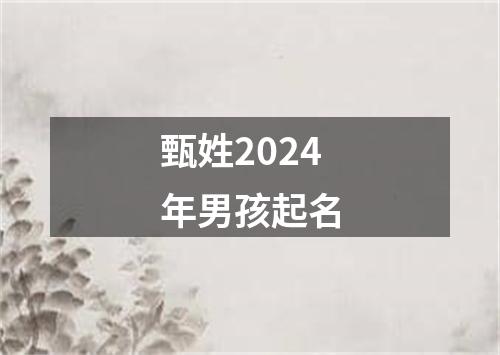 甄姓2024年男孩起名