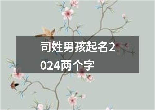 司姓男孩起名2024两个字