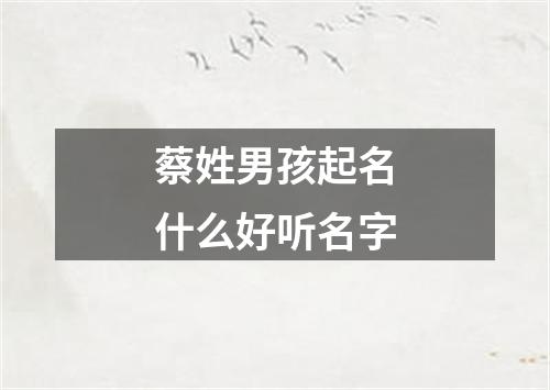 蔡姓男孩起名什么好听名字