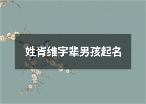 姓胥维字辈男孩起名