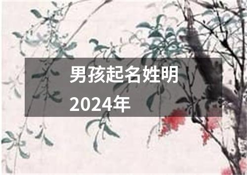 男孩起名姓明2024年