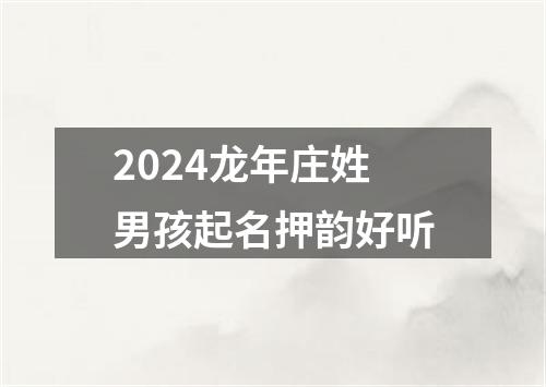 2024龙年庄姓男孩起名押韵好听