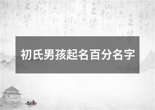 初氏男孩起名百分名字