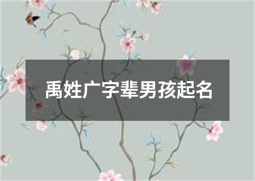 禹姓广字辈男孩起名