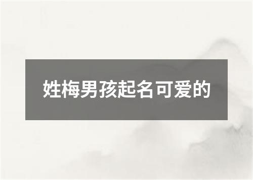 姓梅男孩起名可爱的