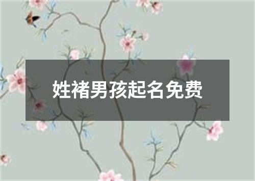 姓褚男孩起名免费