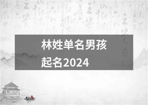 林姓单名男孩起名2024