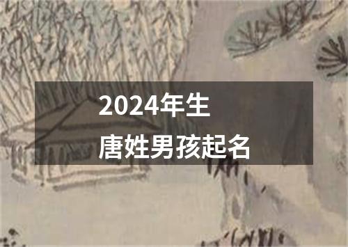 2024年生唐姓男孩起名