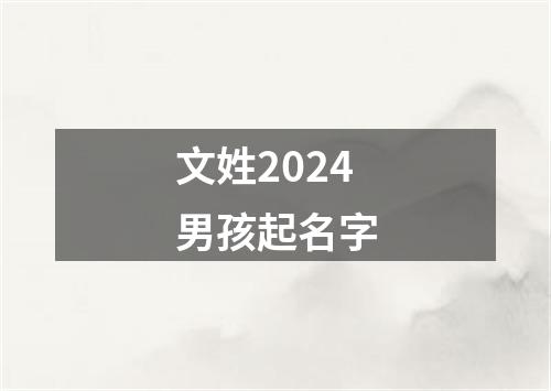 文姓2024男孩起名字