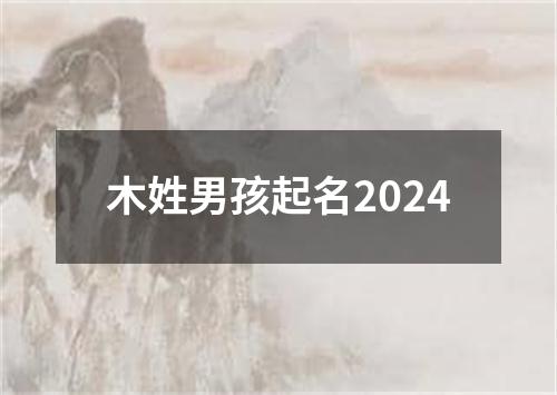 木姓男孩起名2024