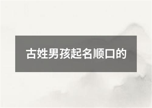 古姓男孩起名顺口的