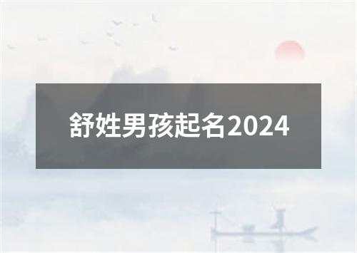 舒姓男孩起名2024