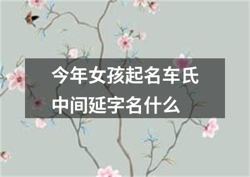 今年女孩起名车氏中间延字名什么