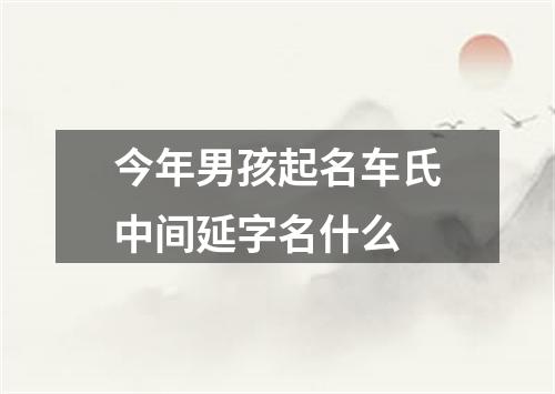 今年男孩起名车氏中间延字名什么