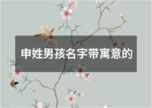 申姓男孩名字带寓意的