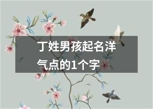 丁姓男孩起名洋气点的1个字