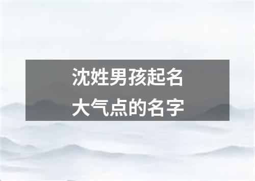 沈姓男孩起名大气点的名字