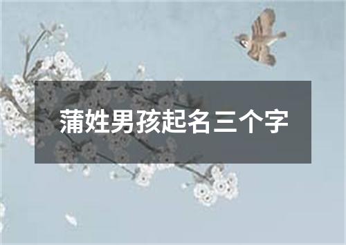 蒲姓男孩起名三个字