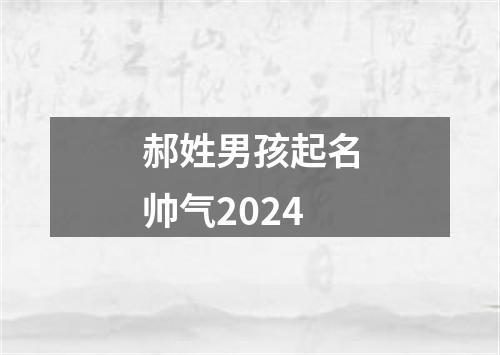 郝姓男孩起名帅气2024