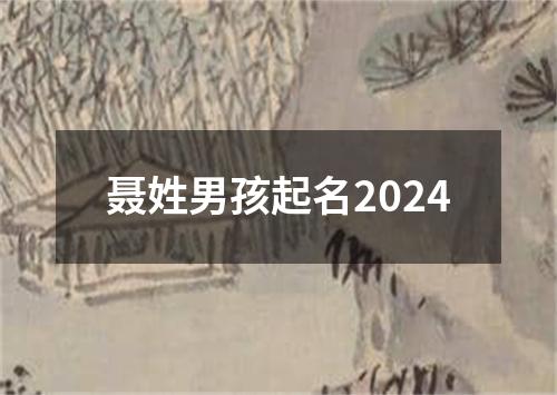 聂姓男孩起名2024