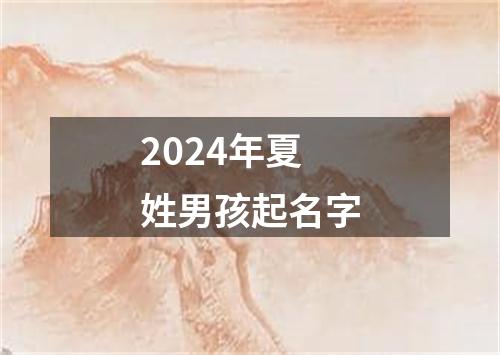 2024年夏姓男孩起名字