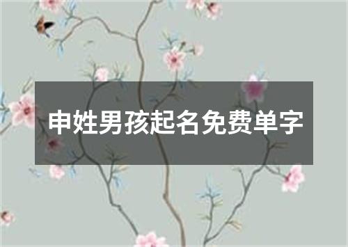 申姓男孩起名免费单字