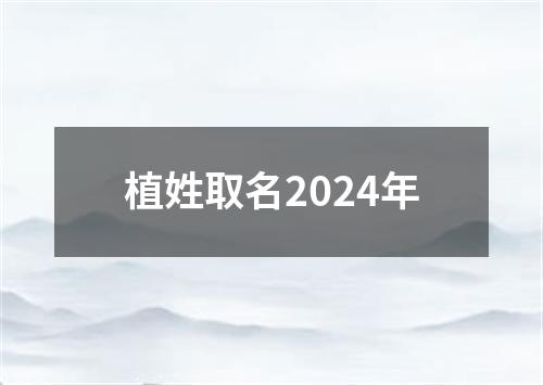 植姓取名2024年