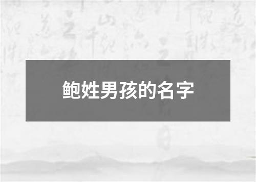 鲍姓男孩的名字