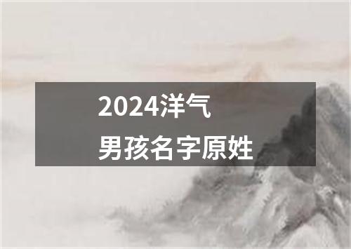 2024洋气男孩名字原姓