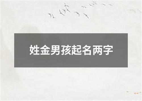 姓金男孩起名两字