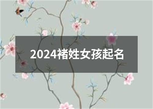 2024褚姓女孩起名