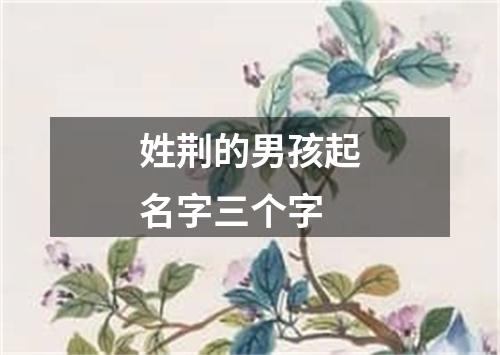 姓荆的男孩起名字三个字