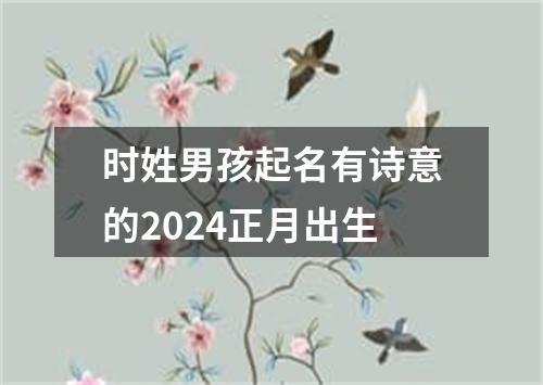 时姓男孩起名有诗意的2024正月出生