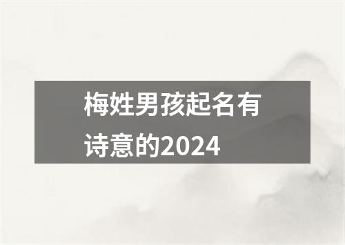 梅姓男孩起名有诗意的2024