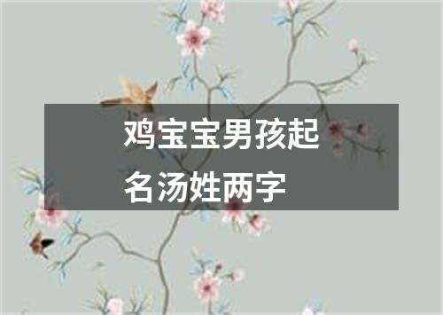 鸡宝宝男孩起名汤姓两字