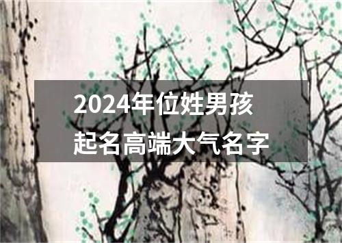 2024年位姓男孩起名高端大气名字