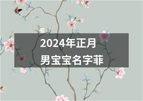 2024年正月男宝宝名字菲