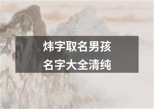 炜字取名男孩名字大全清纯