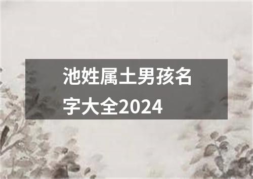 池姓属土男孩名字大全2024