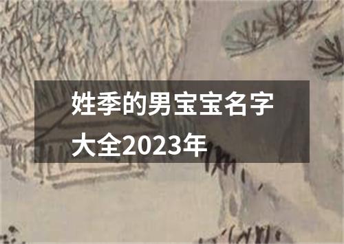 姓季的男宝宝名字大全2023年