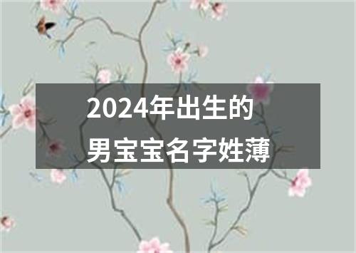 2024年出生的男宝宝名字姓薄