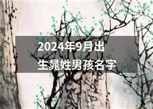 2024年9月出生晁姓男孩名字