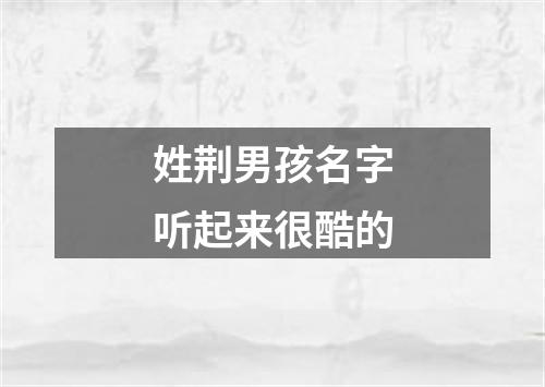 姓荆男孩名字听起来很酷的