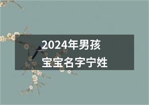 2024年男孩宝宝名字宁姓