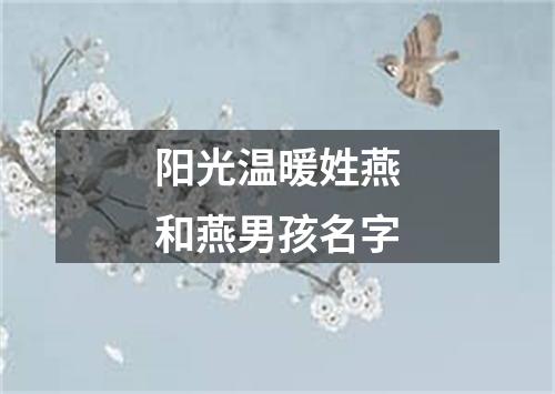 阳光温暖姓燕和燕男孩名字