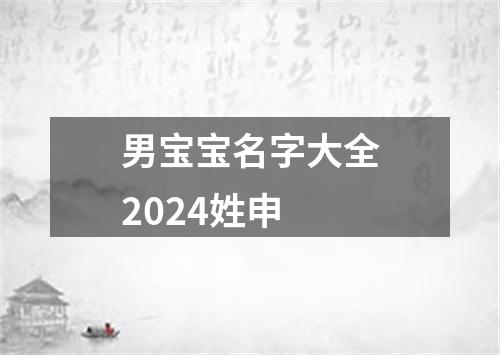 男宝宝名字大全2024姓申