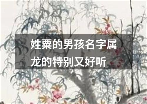 姓粟的男孩名字属龙的特别又好听