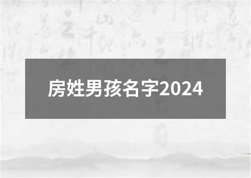 房姓男孩名字2024