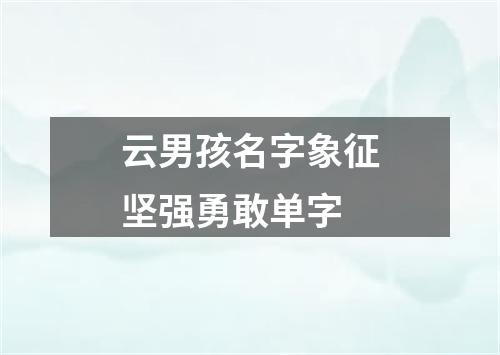 云男孩名字象征坚强勇敢单字