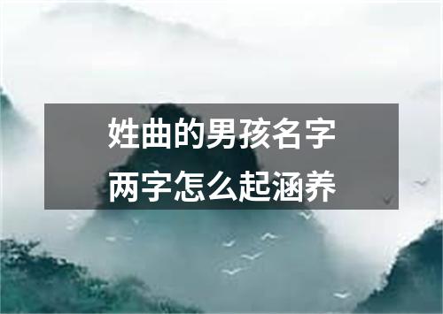 姓曲的男孩名字两字怎么起涵养